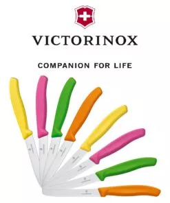 VICTORINOX