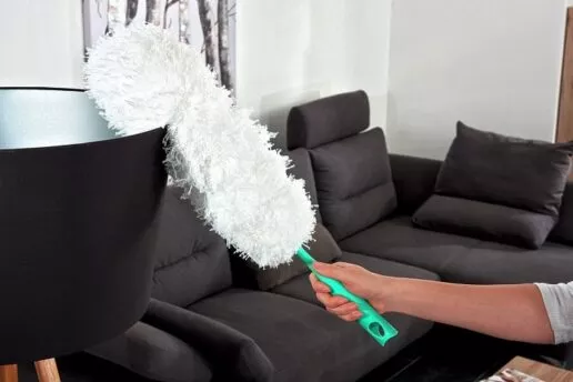 מברשת אבק Duster XL מסדרת Click System