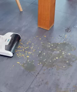 שואב שוטף נטען רגיולוס אקווה ליפהייט REGULUS AQUA POWERVAC
