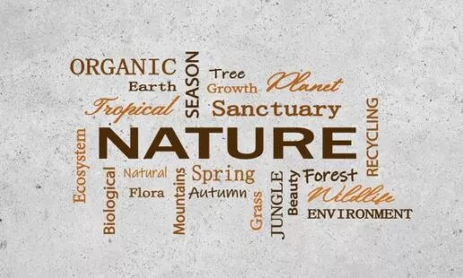 שטיח ויניל דגם NATURE