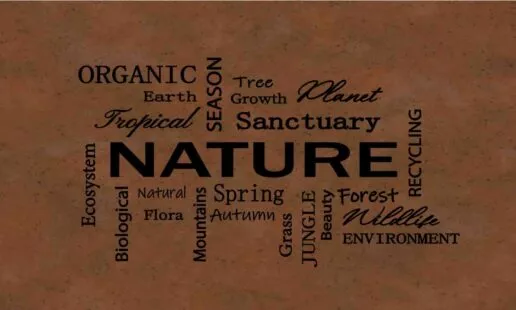 שטיח ויניל דגם Nature חום