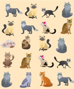 שטיח ויניל דגם חתולים