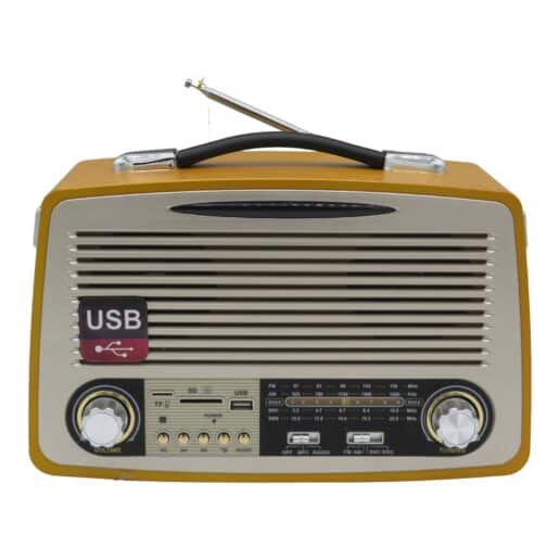 רדיו בעיצוב רטרו פסים עתיק עם בלוטוס - זהב